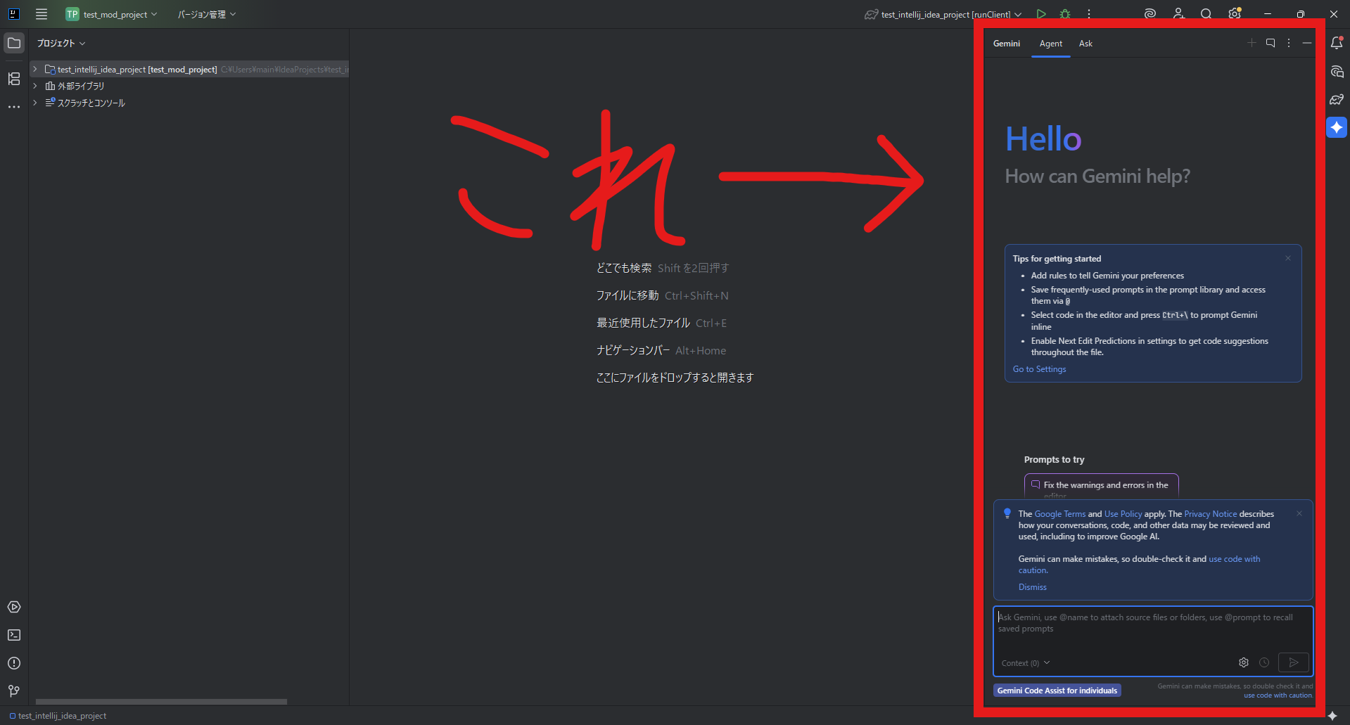 Gemini Code Assistのウィンドウ